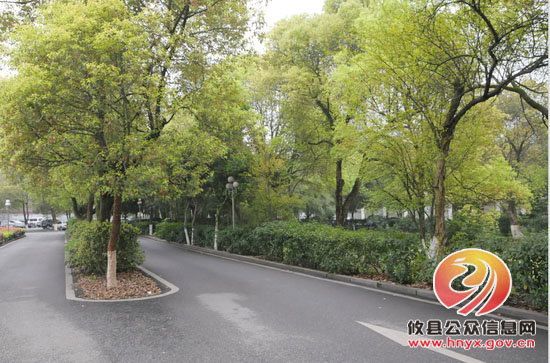 创建省级园林县城系列报道：绿化进单位 环境很优美