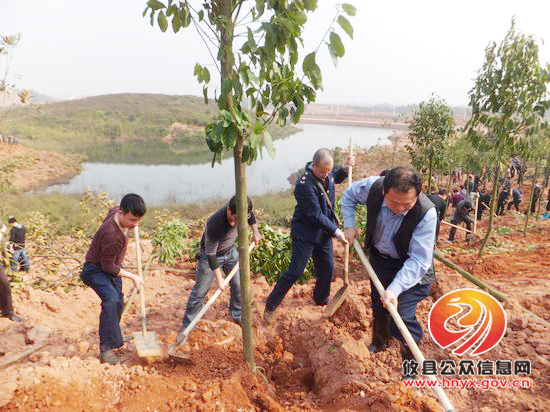 攸县工商局组织干部职工参加义务植树活动