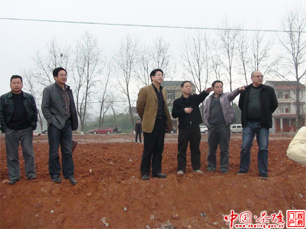 姜衡湘到南站新区调研指导工作
