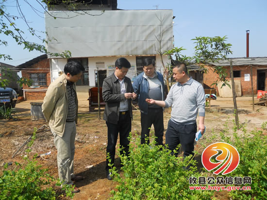陈运发调研鑫地金银花合作社