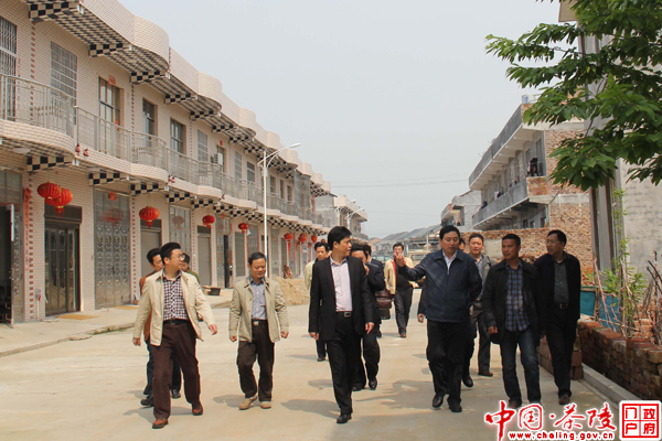 王志刚到茶陵视察指导新农村建设