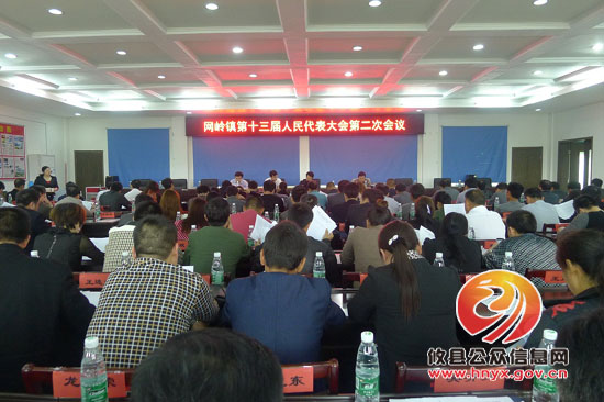 网岭镇召开十二届人大二次会议　刘文勇当选为镇长