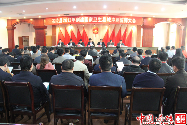茶陵县召开创建国家卫生县城冲刺誓师大会