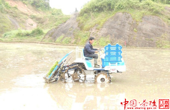 湖口镇迎来春插第一台“机械手”