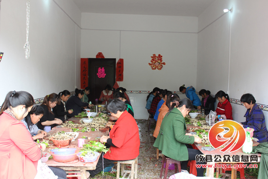 槚山乡种植苗木2000亩　年产值过亿