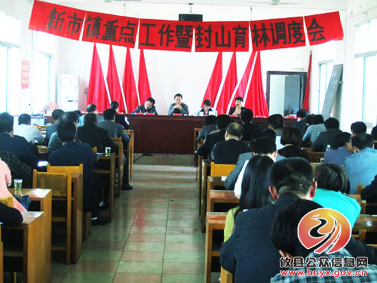 新市镇召开重点工作暨封山育林调度会