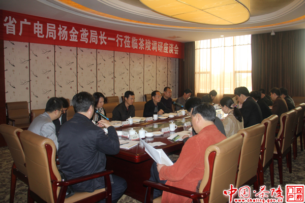 杨金鸢：确保每家每户看好电视、听好广播