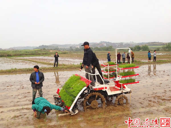 枣市镇：春耕生产掀高潮