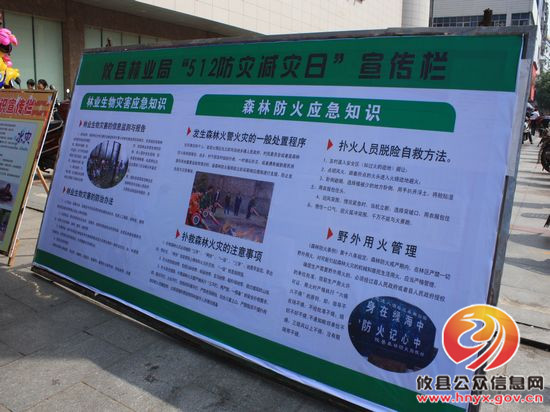 攸县林业局开展“5&middot;12防灾减灾日”宣传活动