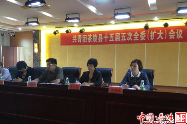 共青团茶陵县十五届五次全委（扩大）会议胜利召开