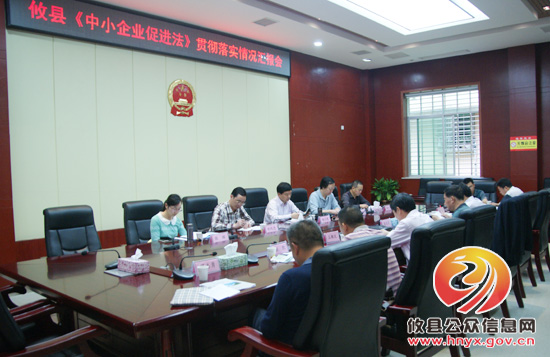 市人大副主任杨宋虎调研攸县实施《中小企业促进法》工作情况