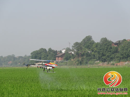 县农业局组织召开全县早稻生产暨飞机喷药防治水稻病虫现场观摩会