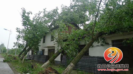 网岭镇积极应对突发暴雨、冰雹灾害