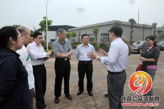 中国国际工程咨询公司专家组来攸县考察指导工作
