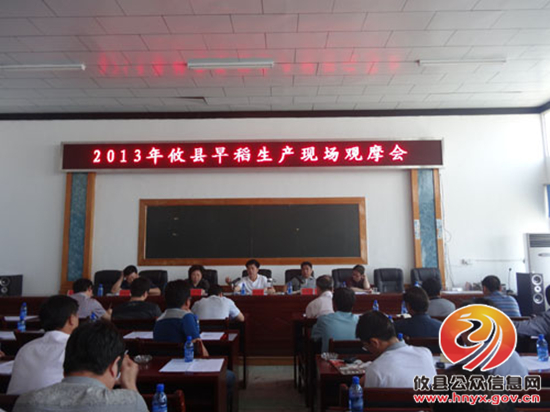 县农业局组织召开全县早稻生产暨飞机喷药防治水稻病虫现场观摩会
