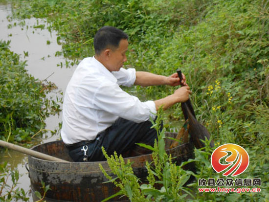 携手共建绿色新市