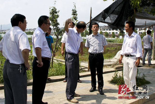 刘正平：统一思想 强化措施 全力推进村民建房管理工作