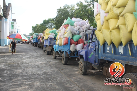 农发行攸县支行900万元支持夏粮收购