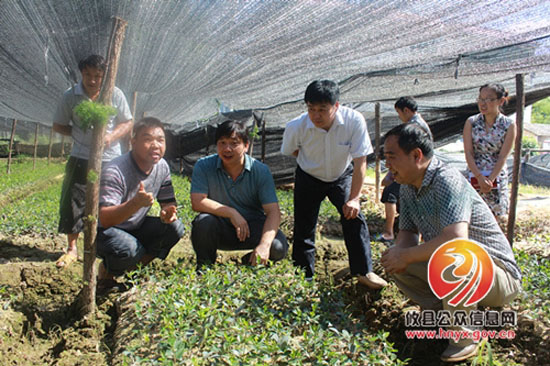 省计生协武昆一行来攸考察计生“三结合”项目工作