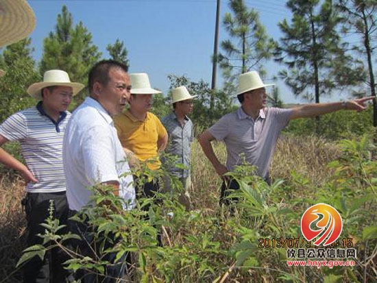 陈运发一行到桃水镇查看旱情