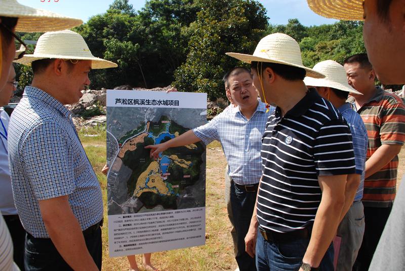 何安国局长率局领导到项目现场观摩