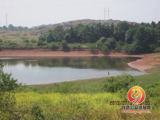 陈运发一行到桃水镇查看旱情