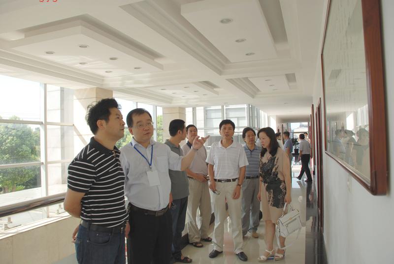 何安国局长率局领导到项目现场观摩