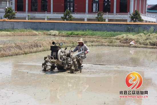 槚山乡：农忙“双抢”， 热火朝天