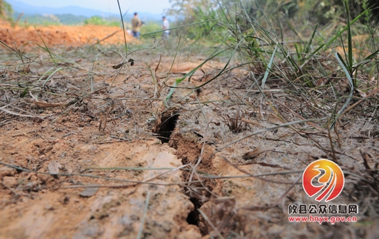 面对持续干旱，酒埠江镇政府积极组织村民抗旱