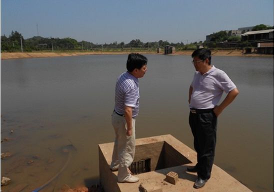 刘玉平实地走访查看云龙示范区旱情