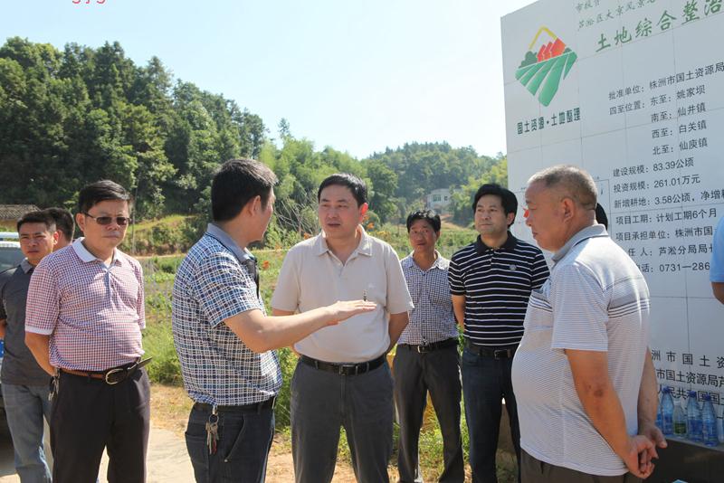 8月10日，市委常委、常务副市长王志刚一行到芦淞区视察土地综合整治项目