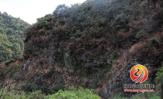 面对持续干旱，酒埠江镇政府积极组织村民抗旱