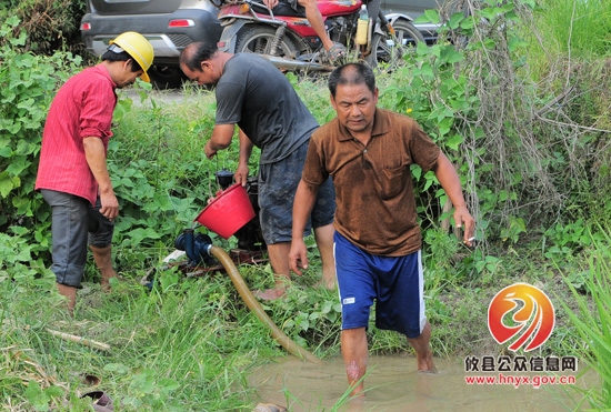 面对持续干旱，酒埠江镇政府积极组织村民抗旱