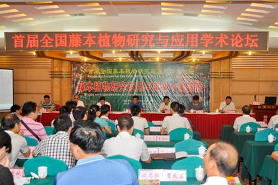 县城管局撰写论文获全国藤本植物研究与应用学术论坛二等奖