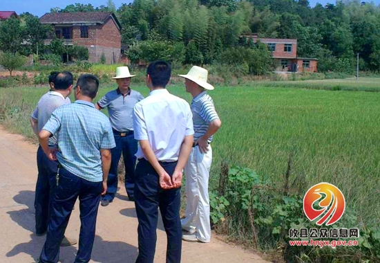陈运发一行到酒埠江镇视察旱情