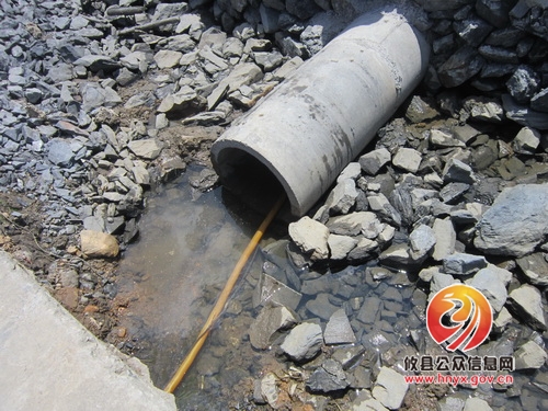 周文安一行到黄丰桥镇视察旱情