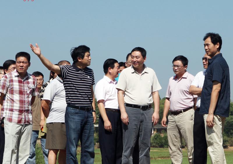 8月10日，市委常委、常务副市长王志刚一行到芦淞区视察土地综合整治项目