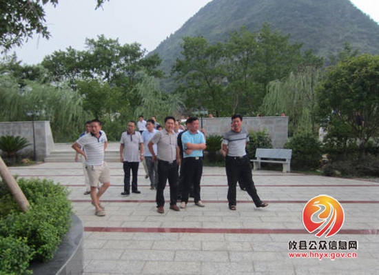 桃水镇向兄弟乡镇鸾山镇学习取经