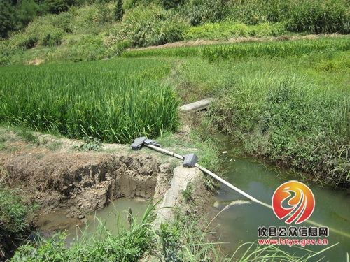 周文安一行到黄丰桥镇视察旱情