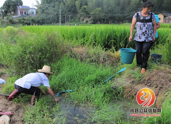 面对持续干旱，酒埠江镇政府积极组织村民抗旱