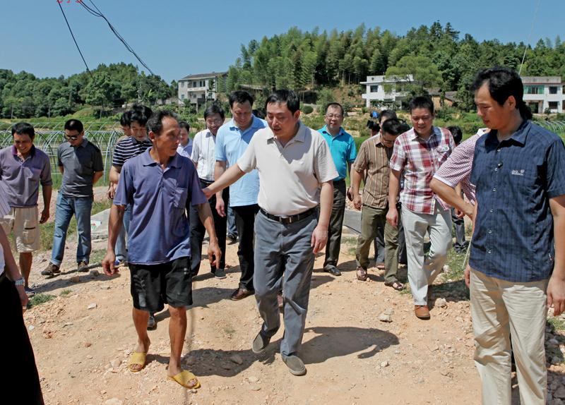 8月10日，市委常委、常务副市长王志刚一行到芦淞区视察土地综合整治项目
