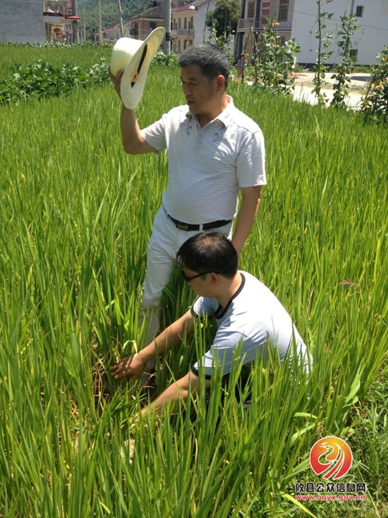 攸县民政局积极开展抗旱救灾工作