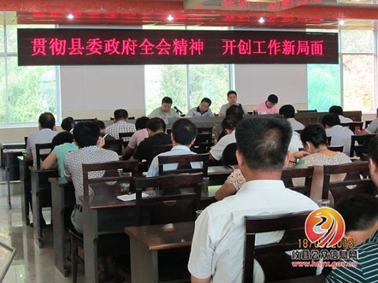 鸾山镇以县委、县政府全会精神推进当前工作