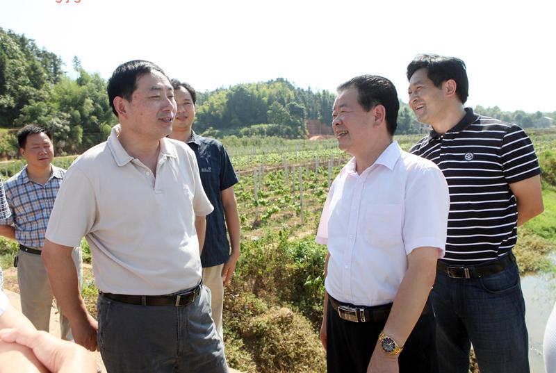 8月10日，市委常委、常务副市长王志刚一行到芦淞区视察土地综合整治项目