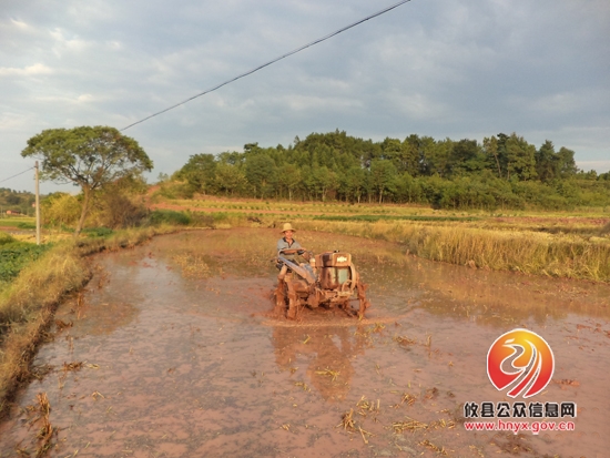 书记现场解难 旱组迎来“救水”