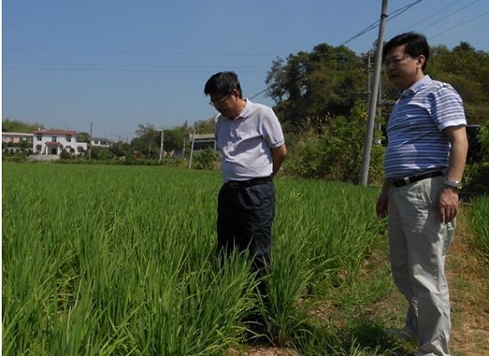 刘玉平实地走访查看云龙示范区旱情