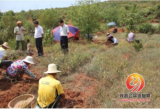 攸县食药监局加强中草药种植产业扶持力度