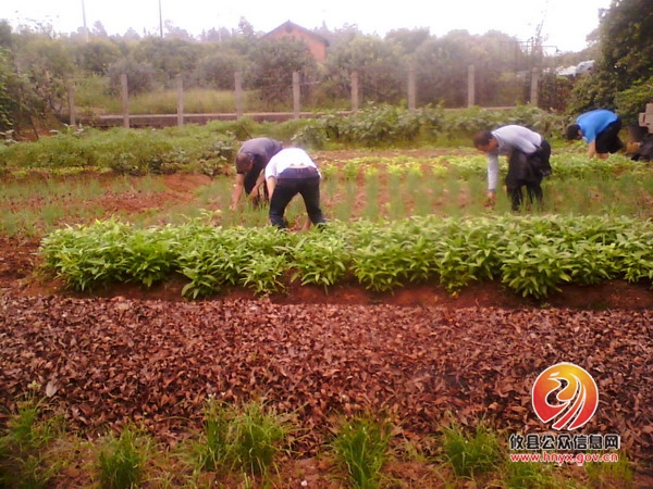大同桥镇扎实开展社区矫正人员大教化活动