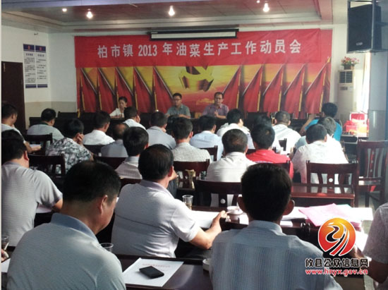 柏市镇今年将种植油菜7500亩