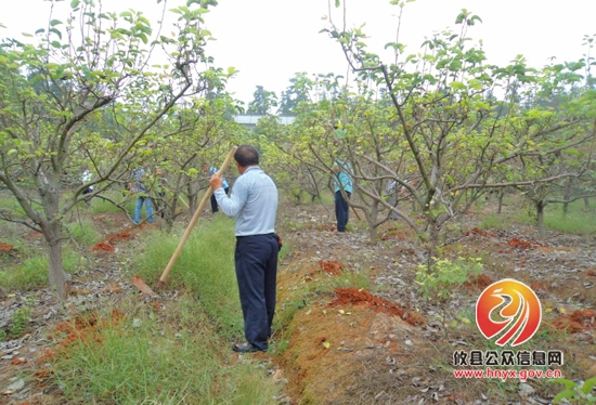 攸县司法局组织社区矫正对象参加公益劳动